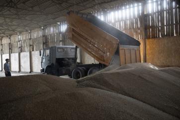 Фермеры ЕС возмущены потоком дешёвой украинской сельхозпродукции